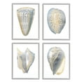 thumbnail image 1 of Stupell Industries Minimal Marine Shells Unique Blue Gold Pattern Gray Framed by Vision Studio, 1 of 8