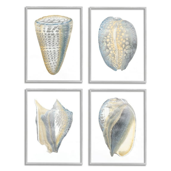 Stupell Industries Minimal Marine Shells Unique Blue Gold Pattern Gray Framed by Vision Studio