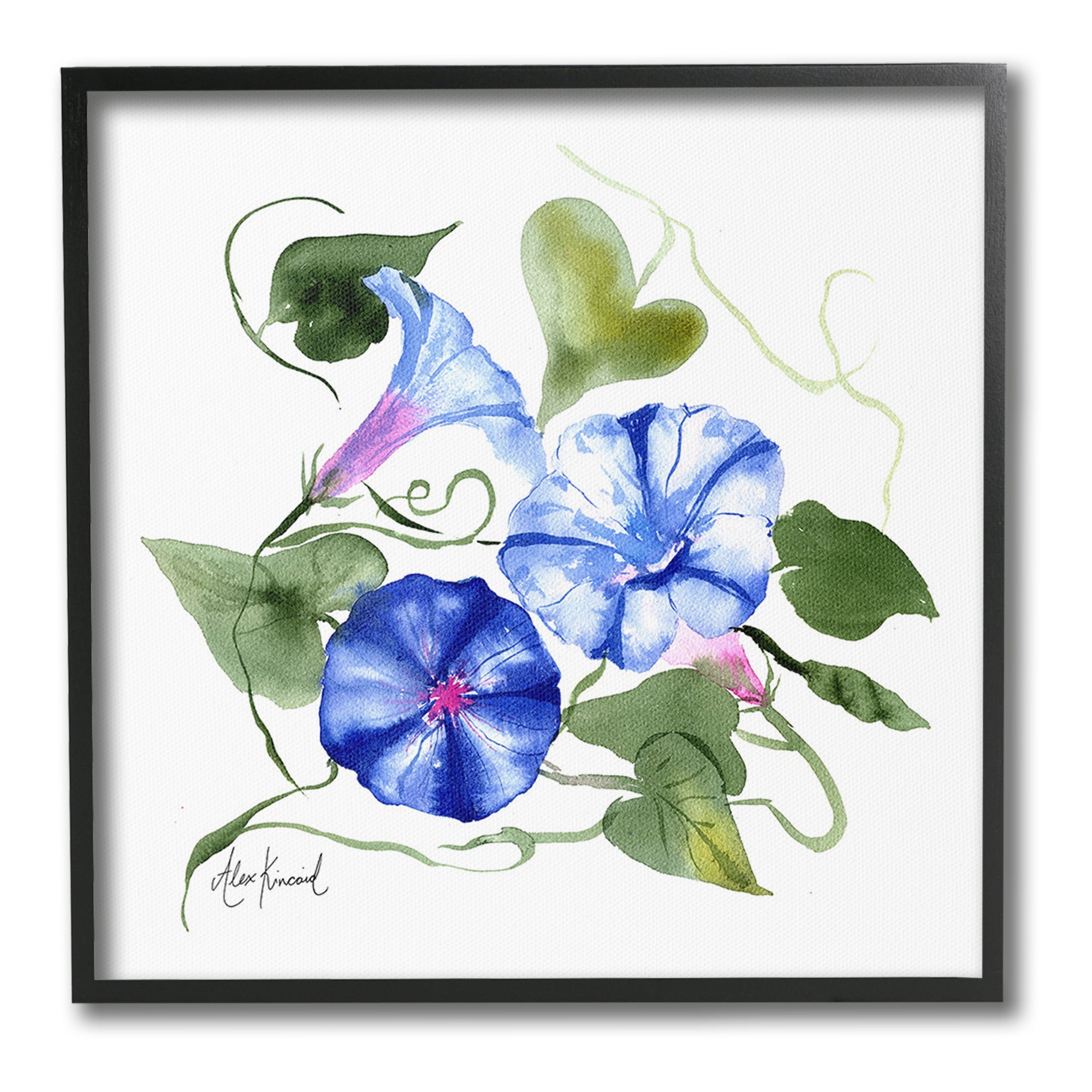 Stupell Industries Minimal Morning Glories Botanical & Floral Painting Black Framed Art Print Wall Art, 24 x 24