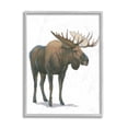 thumbnail image 1 of Stupell Industries Minimal Northern Moose Wild Woodland Animal Grey Framed, 16 x 20, Design by James Wiens, 1 of 7