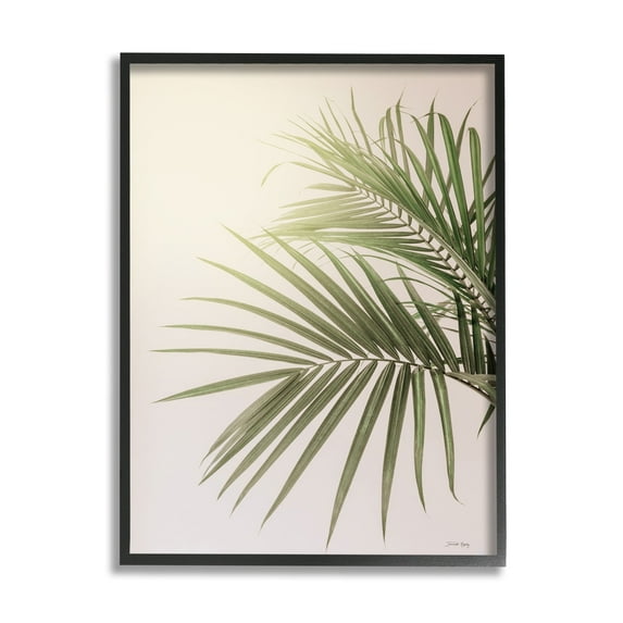 Stupell Industries Minimal Palm Leaves Sunlit Tropical House Plant Photograph Black Framed Art Print Wall Art, Design by Jennifer Rigsby