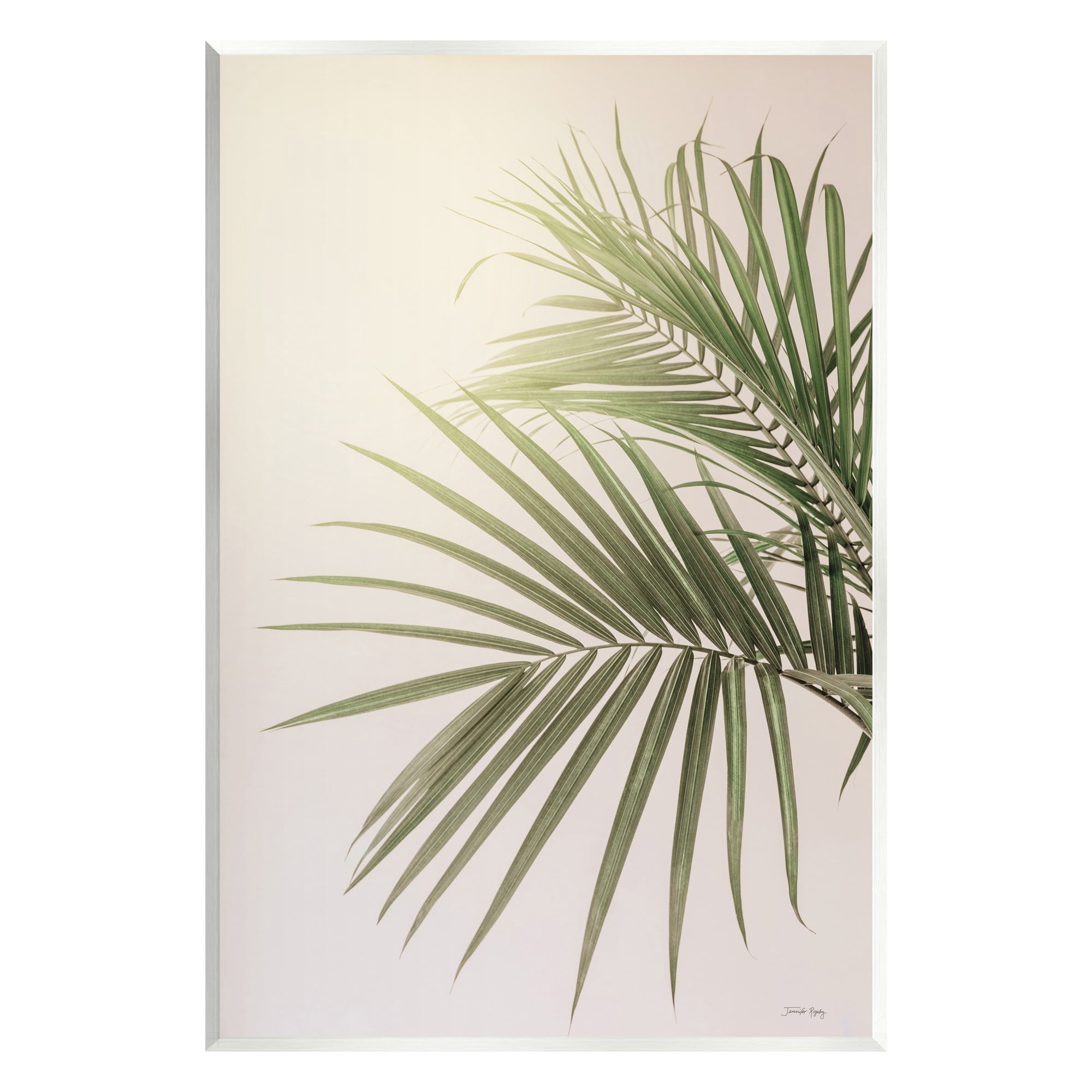 Stupell Industries Minimal Palm Leaves Sunlit Tropical House Plant Photograph Unframed Art Print Wall Art, Design by Jennifer Rigsby