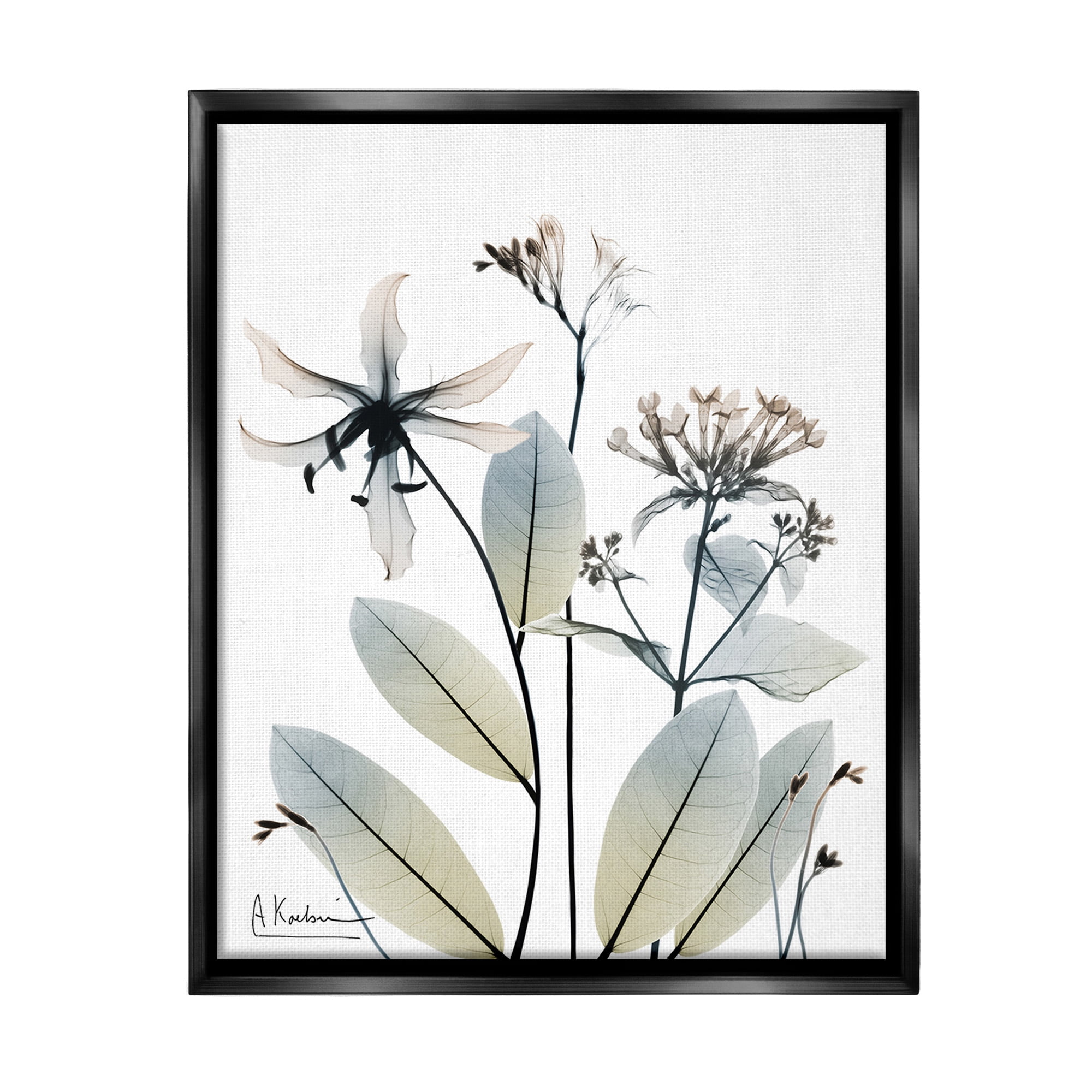 Stupell Industries Minimal Plant Blossoms Botanical & Floral Photography Black Floater Framed Canvas Art Print Wall Art, 17 x 21