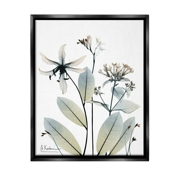 Stupell Industries Minimal Plant Blossoms Botanical & Floral Photography Black Floater Framed Canvas Art Print Wall Art, 17 x 21