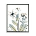 thumbnail image 1 of Stupell Industries Minimal Plant Blossoms Botanical & Floral Photography Black Framed Art Print Wall Art, 11 x 14, 1 of 9