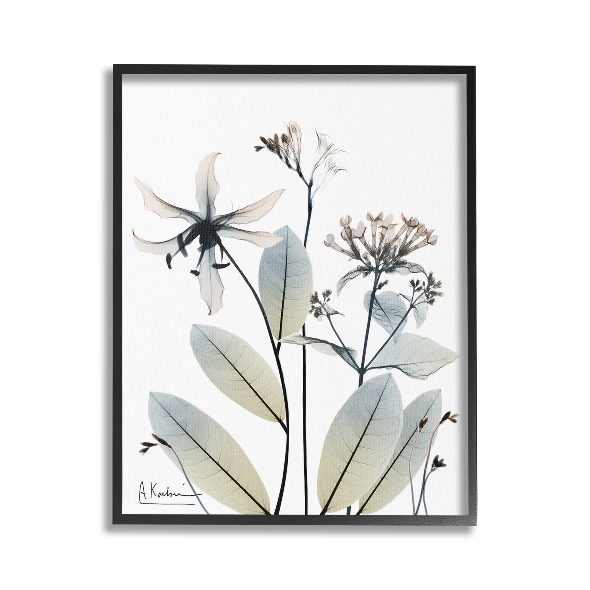 Stupell Industries Minimal Plant Blossoms Botanical & Floral Photography Black Framed Art Print Wall Art, 24 x 30