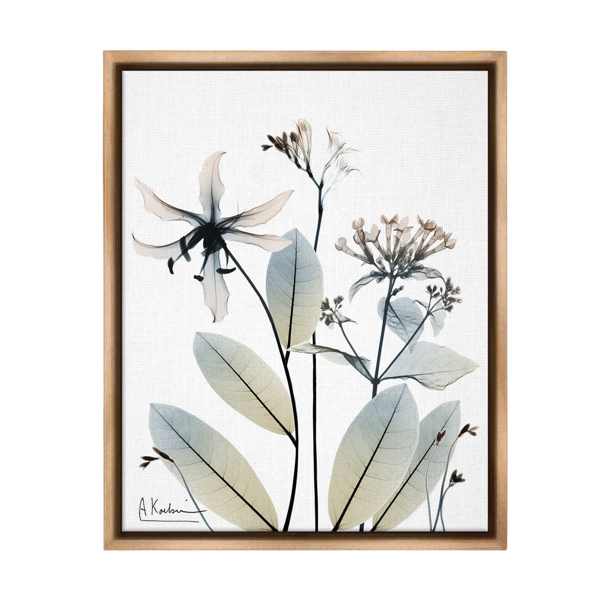 Stupell Industries Minimal Plant Blossoms Botanical & Floral Photography Brown Floater Framed Canvas Art Print Wall Art, 25 x 31