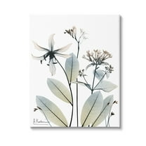 Stupell Industries Minimal Plant Blossoms Botanical & Floral Photography Gallery Wrapped Canvas Art Print Wall Art, 16 x 20