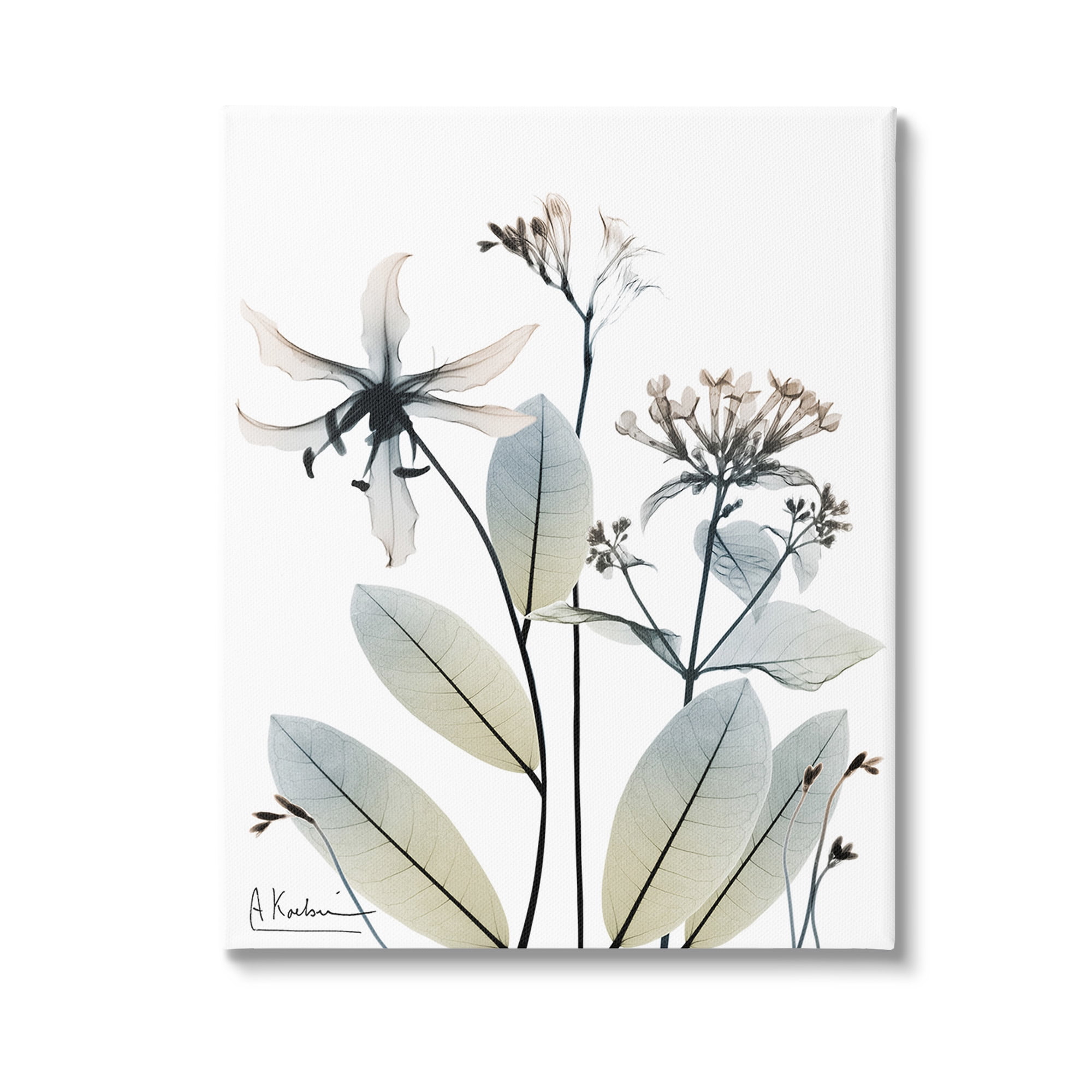 Stupell Industries Minimal Plant Blossoms Botanical & Floral Photography Gallery Wrapped Canvas Art Print Wall Art, 30 x 40