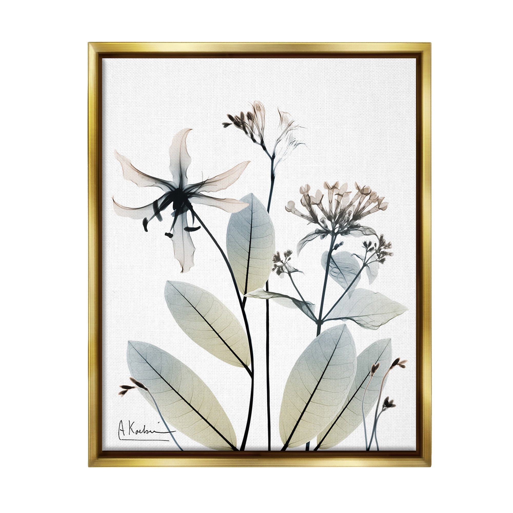 Stupell Industries Minimal Plant Blossoms Botanical & Floral Photography Gold Floater Framed Canvas Art Print Wall Art, 25 x 31