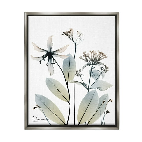 Stupell Industries Minimal Plant Blossoms Botanical & Floral Photography Gray Floater Framed Canvas Art Print Wall Art, 25 x 31