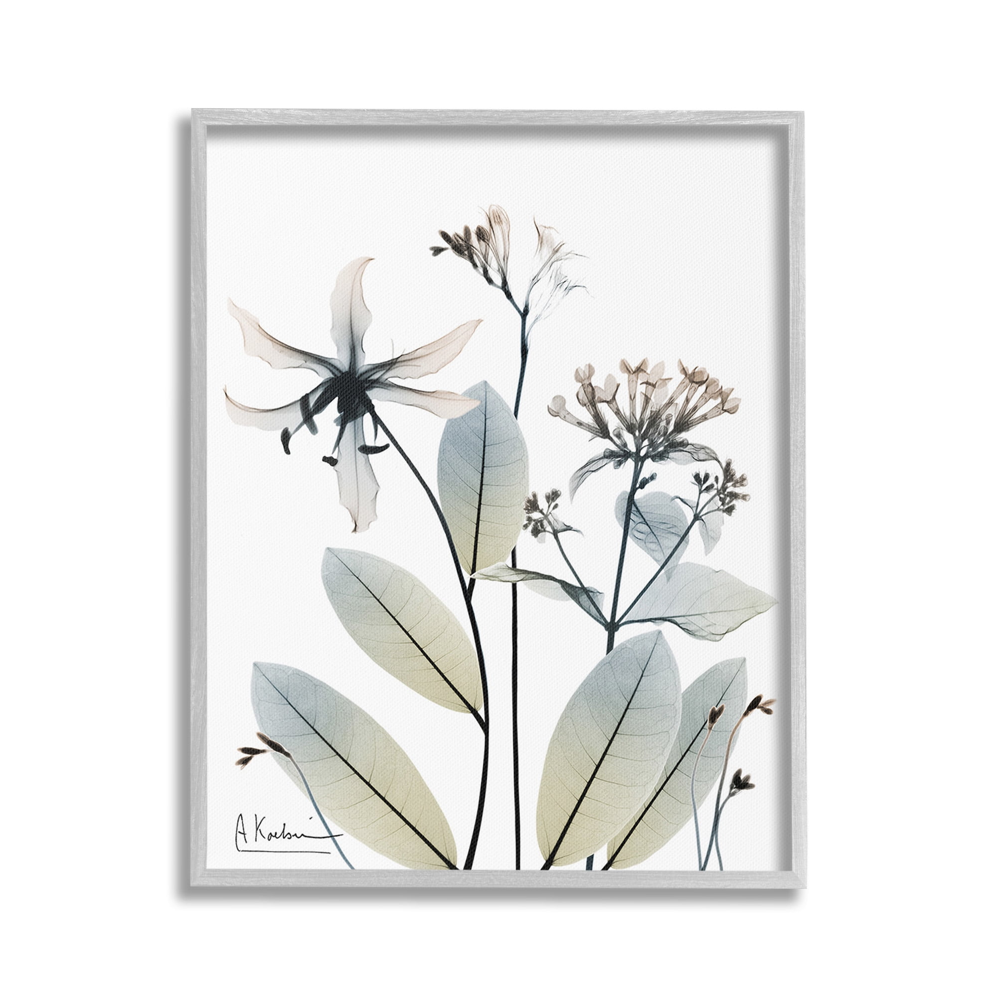 Stupell Industries Minimal Plant Blossoms Botanical & Floral Photography Gray Framed Art Print Wall Art, 24 x 30