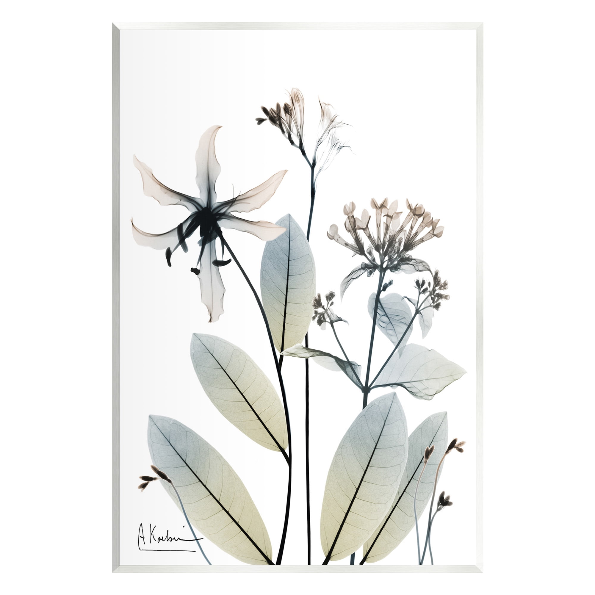 Stupell Industries Minimal Plant Blossoms Botanical & Floral Photography Unframed Art Print Wall Art, 10 x 15