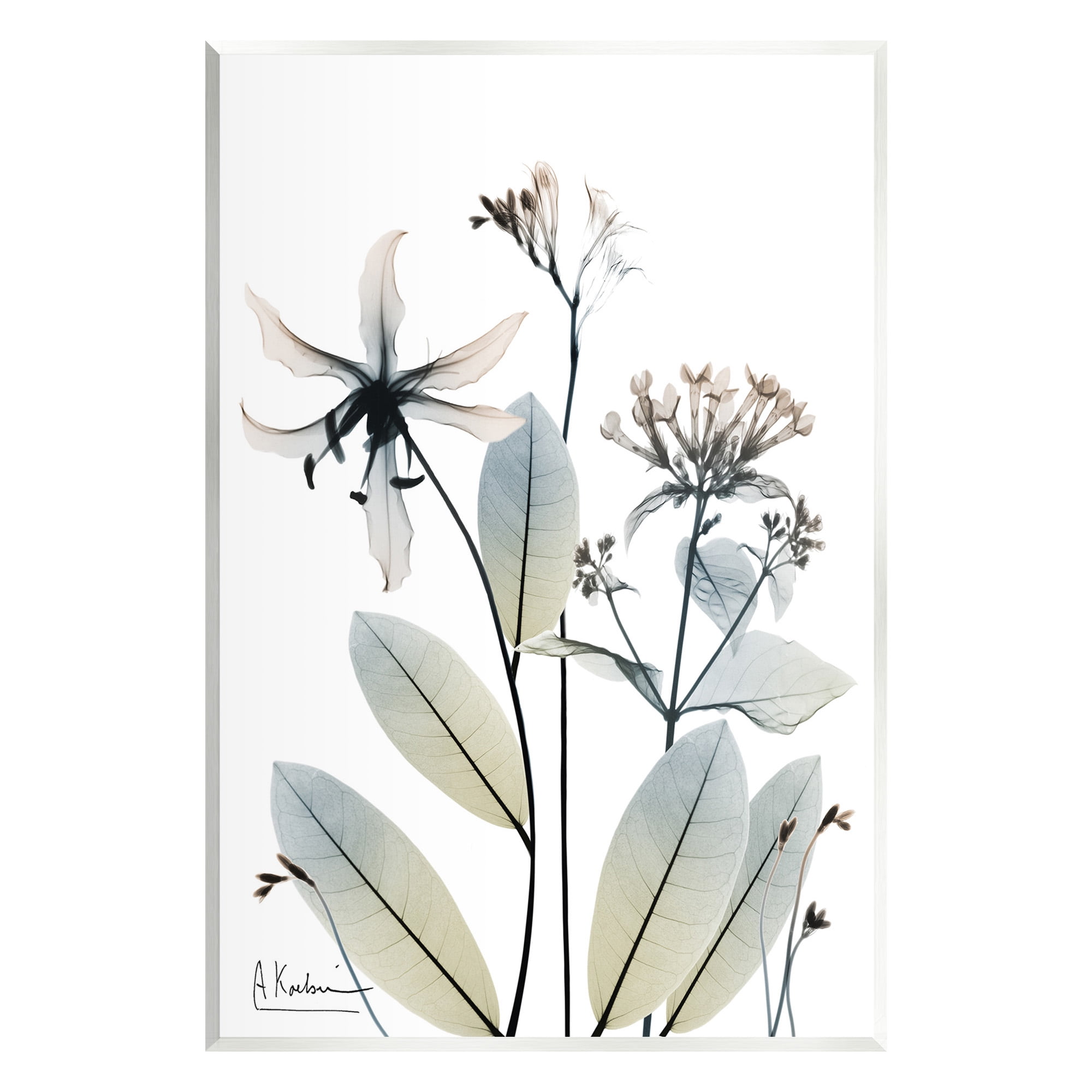 Stupell Industries Minimal Plant Blossoms Botanical & Floral Photography Unframed Art Print Wall Art, 13 x 19