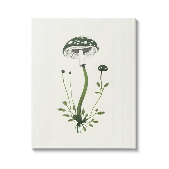 Stupell Industries Minimal Spotted Mushroom Botanical & Floral Painting Gallery Wrapped Canvas Art Print Wall Art, 16 x 20