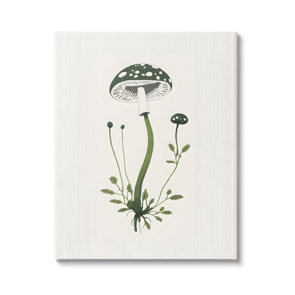 Stupell Industries Minimal Spotted Mushroom Botanical & Floral Painting Gallery Wrapped Canvas Art Print Wall Art, 16 x 20