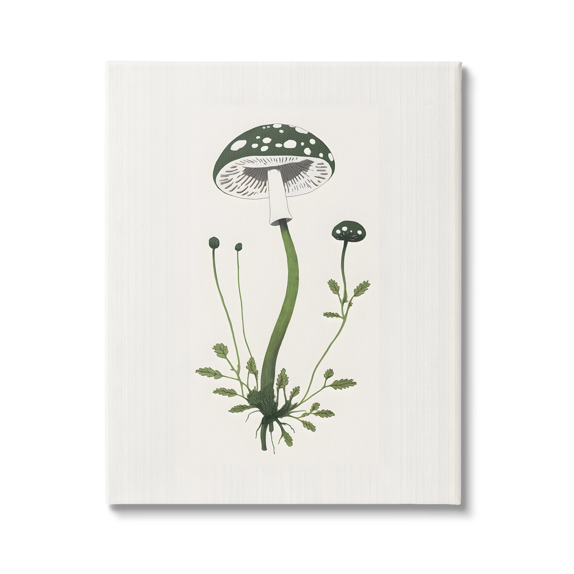 Stupell Industries Minimal Spotted Mushroom Botanical & Floral Painting Gallery Wrapped Canvas Art Print Wall Art, 30 x 40