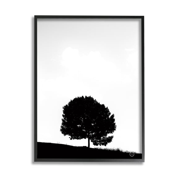 Stupell Industries Minimal Sycamore Tree Silhouette Black White Nature Photography, 16 x 20, Design by Nathan Larson