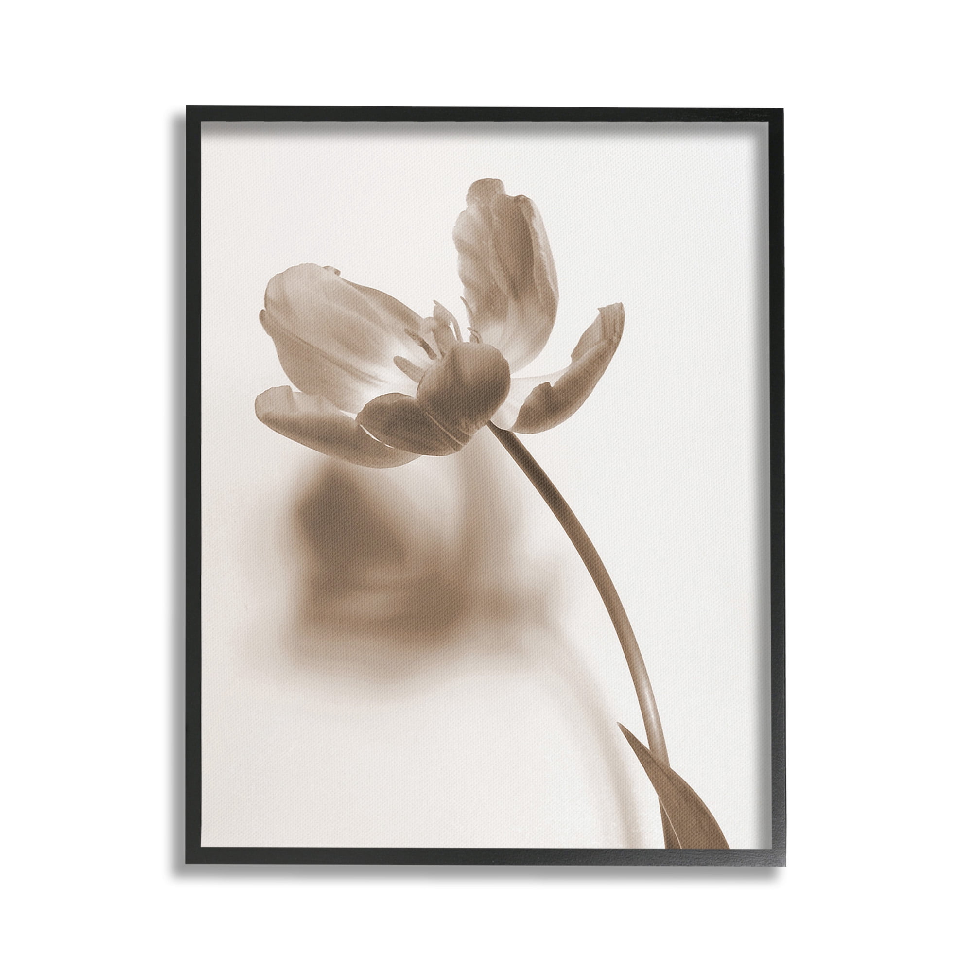 Stupell Industries Minimal Tulip Stem Botanical & Floral Photography Black Framed Art Print Wall Art, 24 x 30
