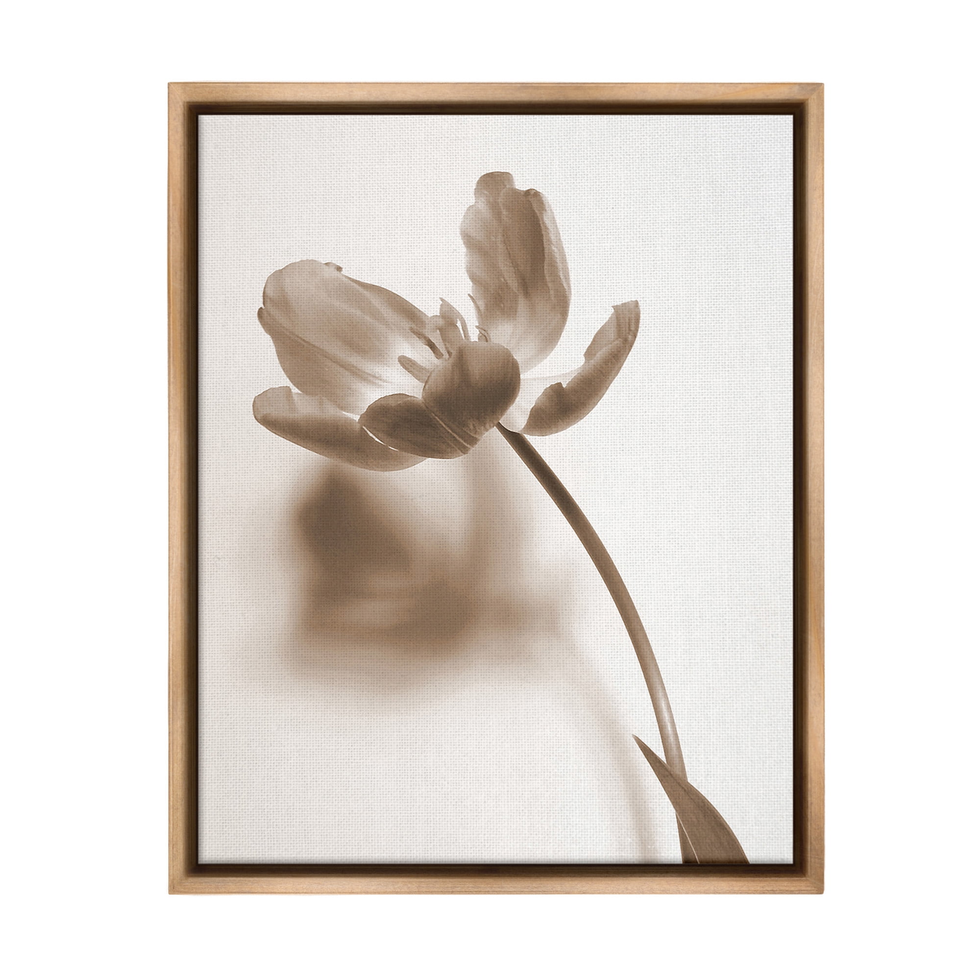 Stupell Industries Minimal Tulip Stem Botanical & Floral Photography Brown Floater Framed Canvas Art Print Wall Art, 17 x 21