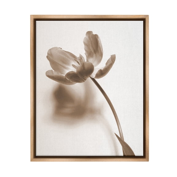Stupell Industries Minimal Tulip Stem Botanical & Floral Photography Brown Floater Framed Canvas Art Print Wall Art, 25 x 31