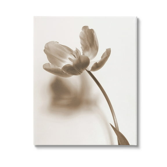 Stupell Industries Minimal Tulip Stem Botanical & Floral Photography Gallery Wrapped Canvas Art Print Wall Art, 16 x 20