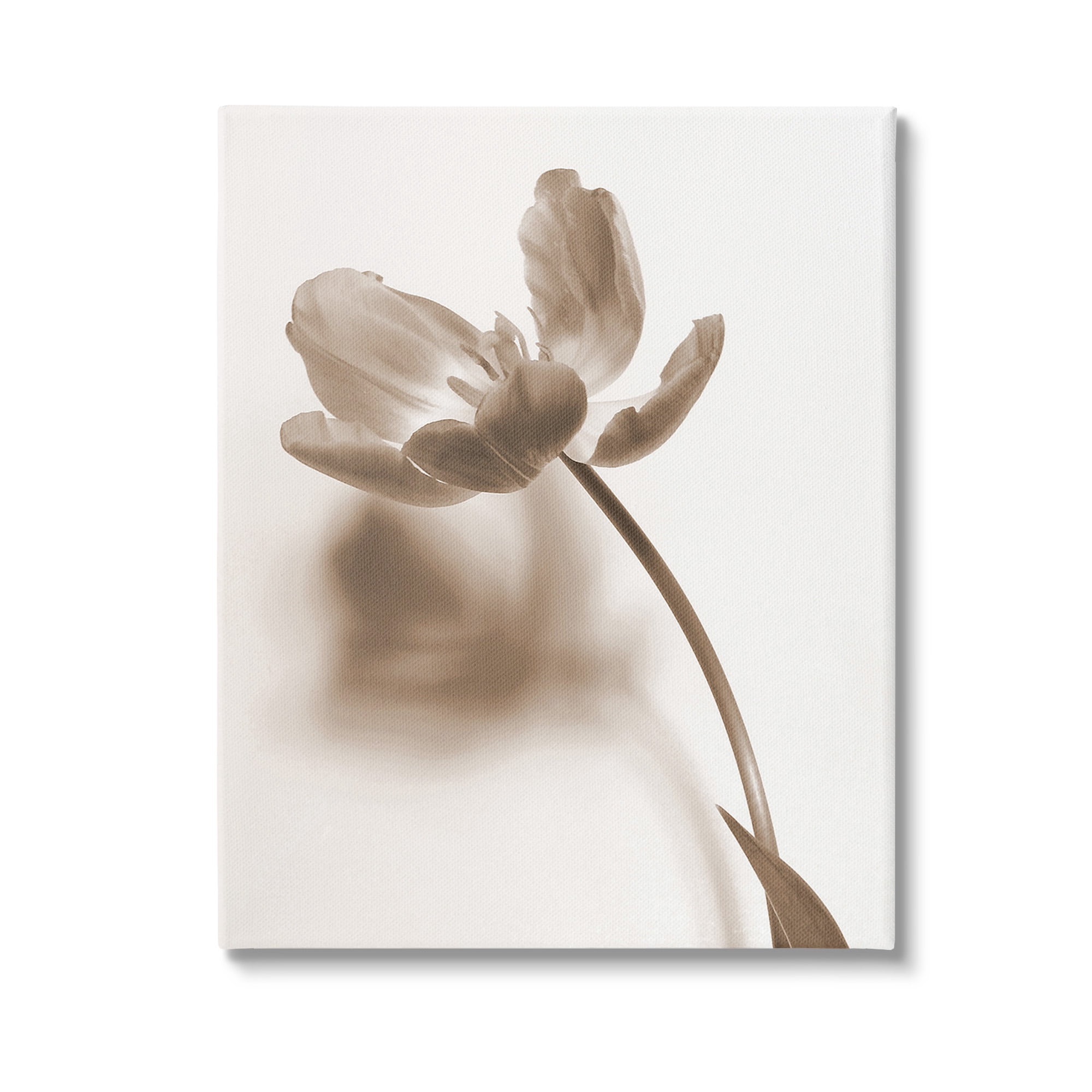 Stupell Industries Minimal Tulip Stem Botanical & Floral Photography Gallery Wrapped Canvas Art Print Wall Art, 30 x 40