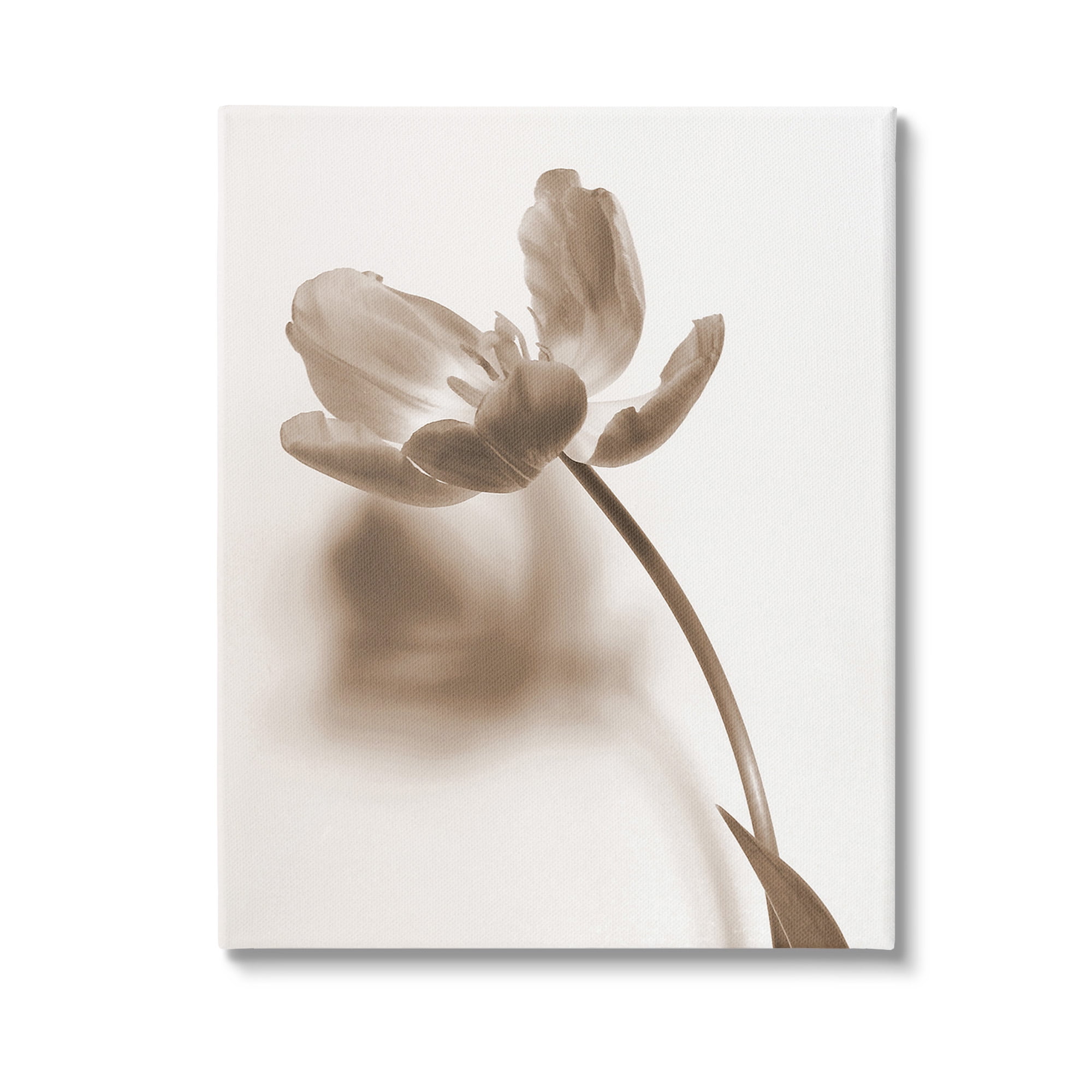 Stupell Industries Minimal Tulip Stem Botanical & Floral Photography Gallery Wrapped Canvas Art Print Wall Art, 36 x 48