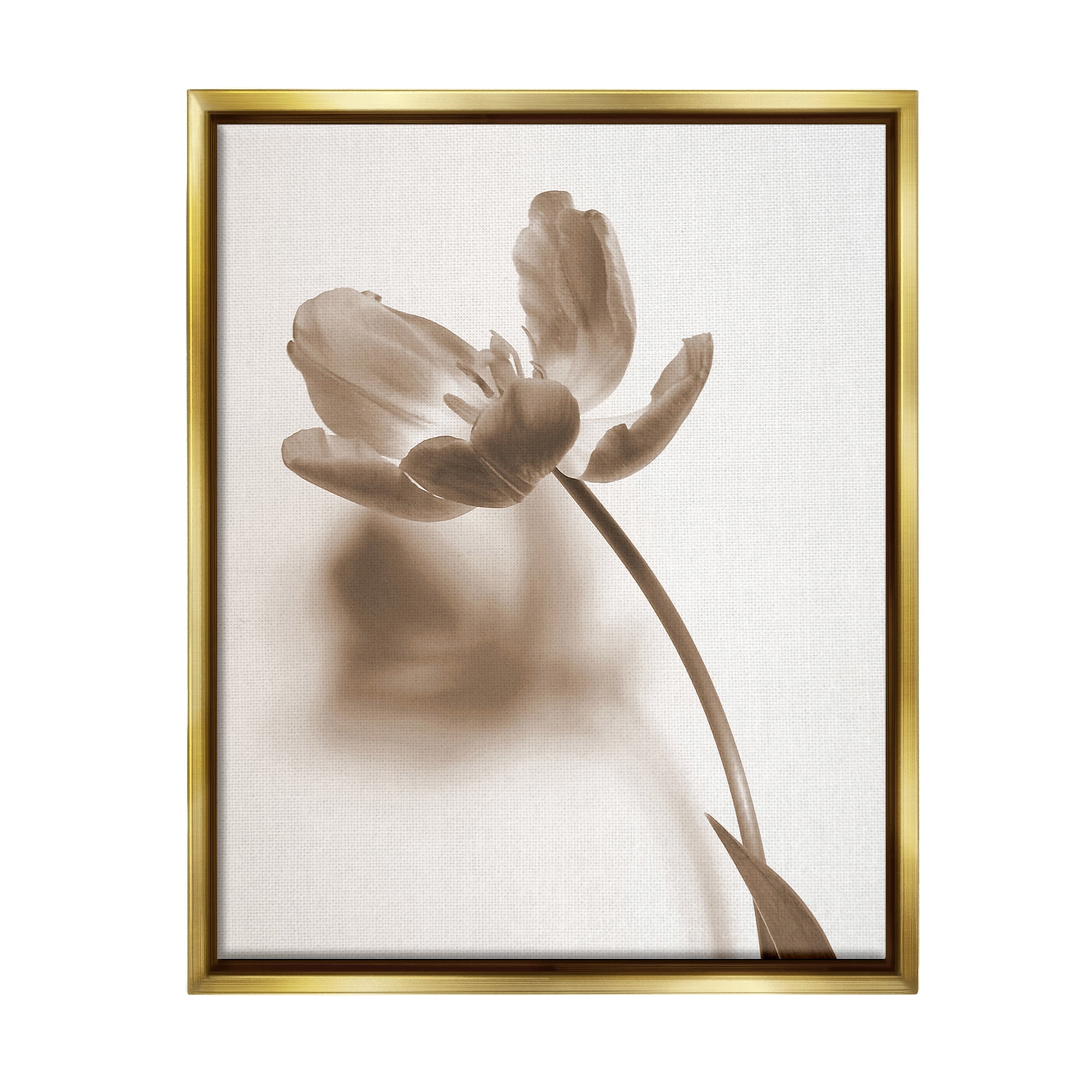 Stupell Industries Minimal Tulip Stem Botanical & Floral Photography Gold Floater Framed Canvas Art Print Wall Art, 17 x 21