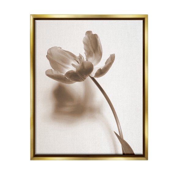 Stupell Industries Minimal Tulip Stem Botanical & Floral Photography Gold Floater Framed Canvas Art Print Wall Art, 25 x 31