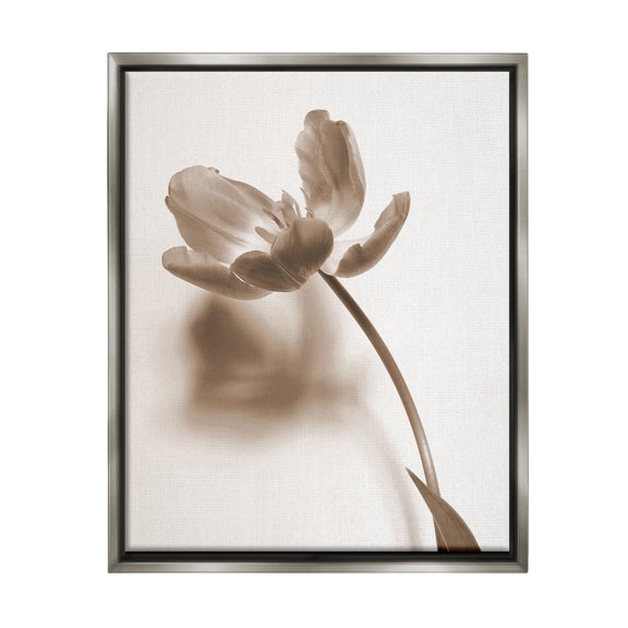 Stupell Industries Minimal Tulip Stem Botanical & Floral Photography Gray Floater Framed Canvas Art Print Wall Art, 17 x 21