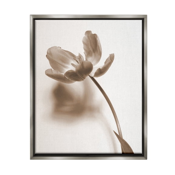 Stupell Industries Minimal Tulip Stem Botanical & Floral Photography Gray Floater Framed Canvas Art Print Wall Art, 25 x 31