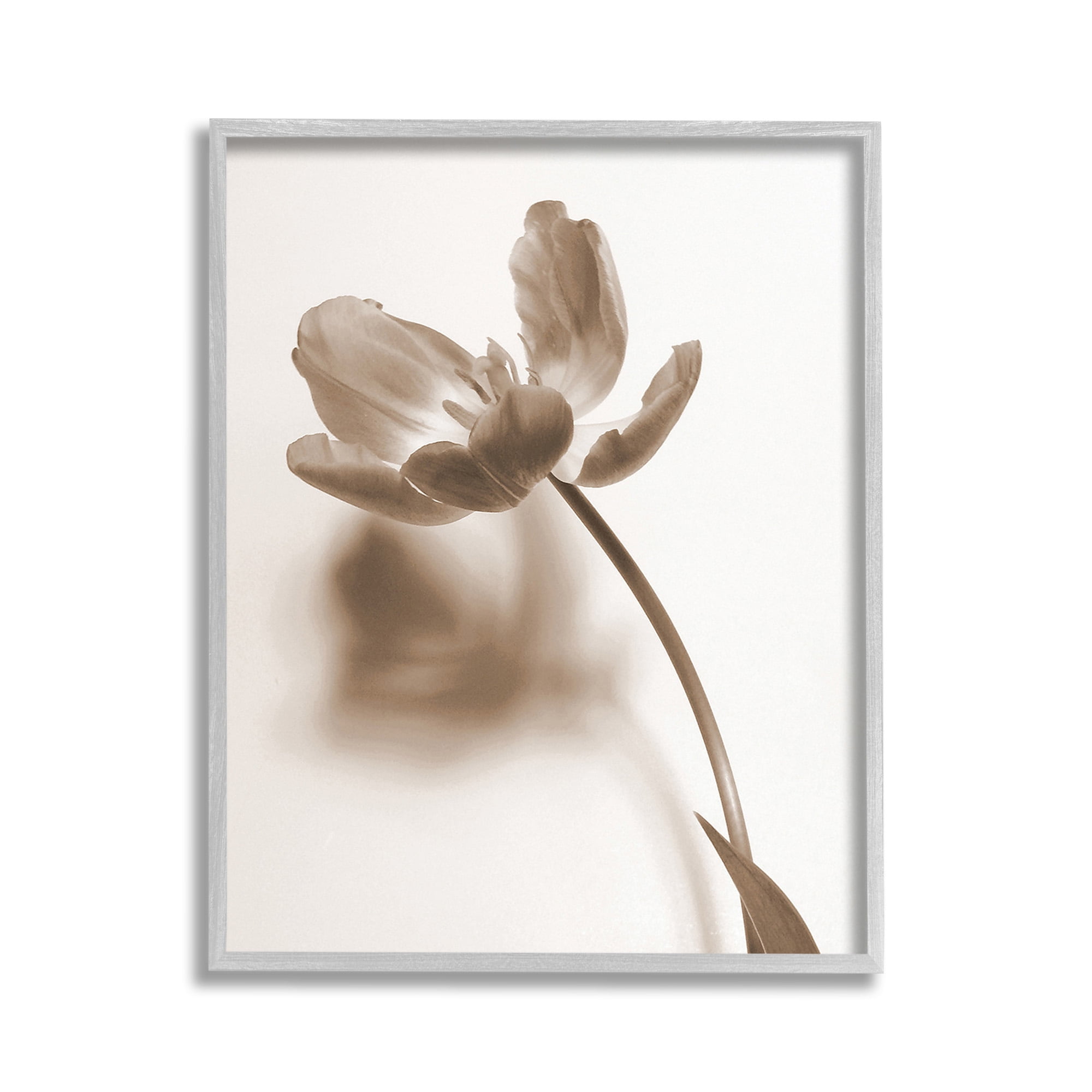 Stupell Industries Minimal Tulip Stem Botanical & Floral Photography Gray Framed Art Print Wall Art, 11 x 14