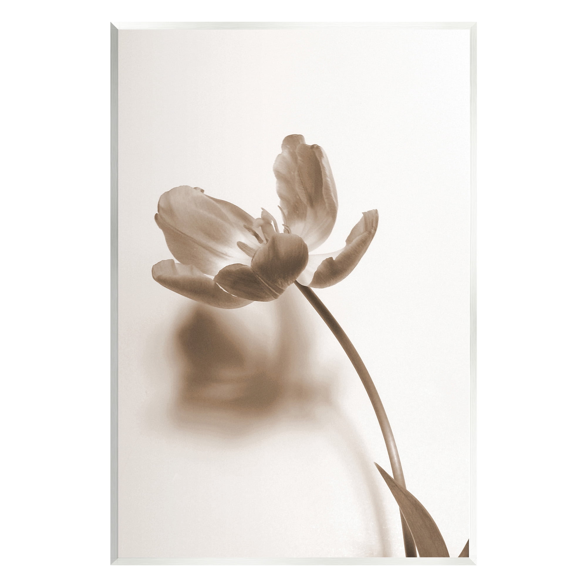 Stupell Industries Minimal Tulip Stem Botanical & Floral Photography Unframed Art Print Wall Art, 13 x 19
