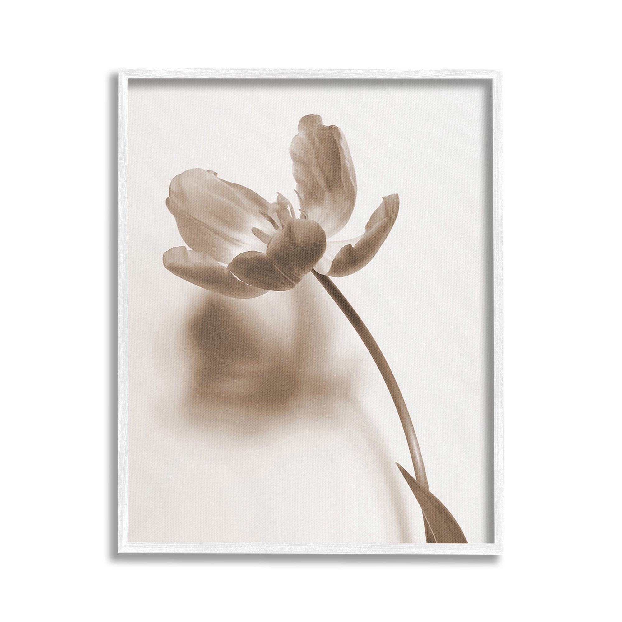Stupell Industries Minimal Tulip Stem Botanical & Floral Photography White Framed Art Print Wall Art, 16 x 20