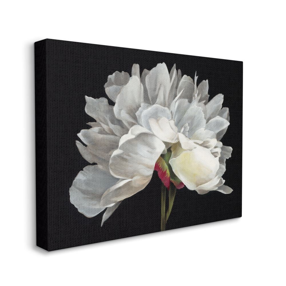 Stupell Industries Minimal White Flower Petal Detail Floral Design Canvas Wall Art Design by Liz Jardine, 16" x 20"