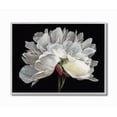 thumbnail image 1 of Stupell Industries Minimal White Flower Petal Detail Floral Design Framed Wall Art Design by Liz Jardine, 16" x 20", Gray Framed, 1 of 5