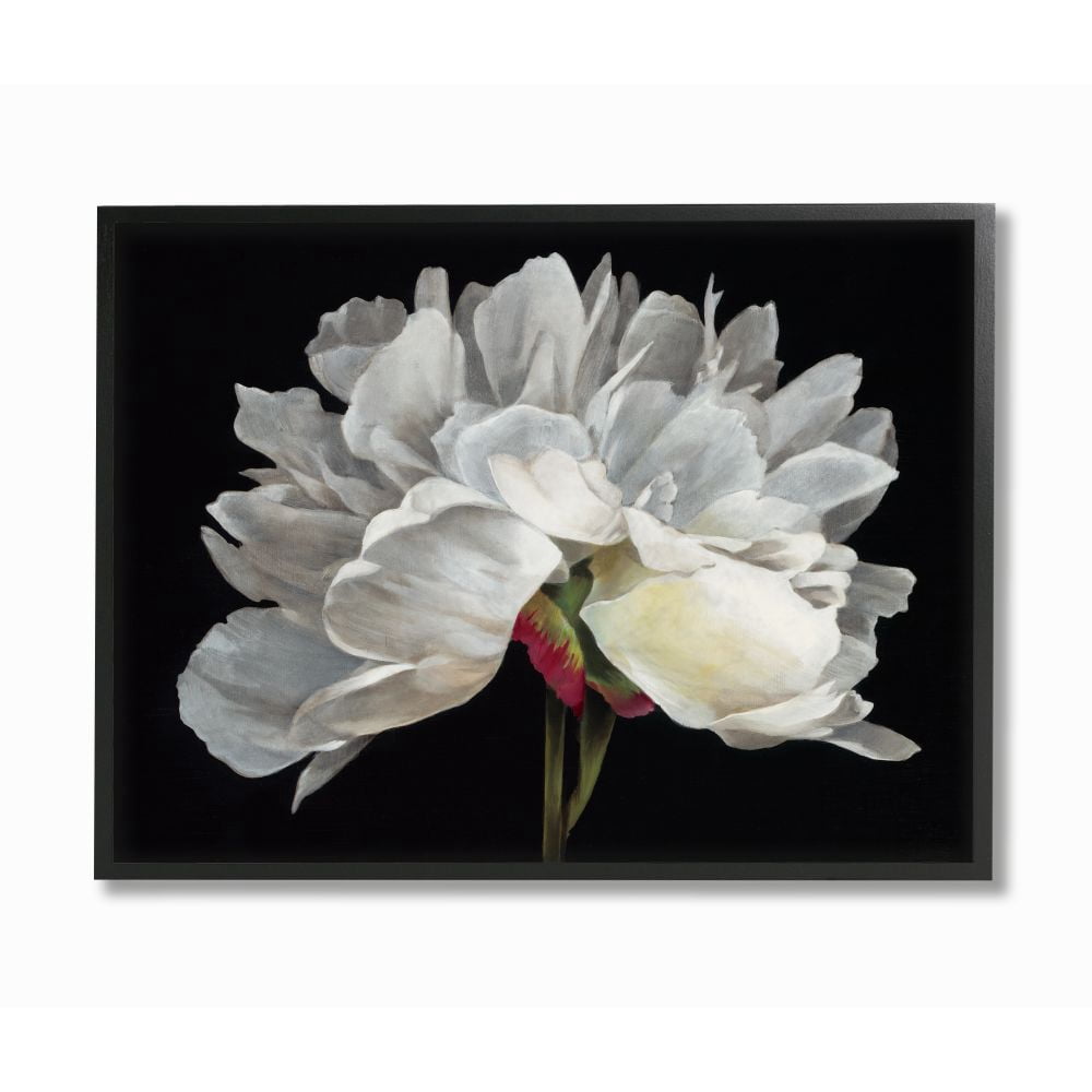 Stupell Industries Minimal White Flower Petal Detail Floral Design Framed Wall Art Design by Liz Jardine, 24" x 30", Black Framed