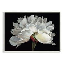 Stupell Industries Minimal White Flower Petal Detail Floral Design Paintings Unframed Art Print Wall Art, 13x19, by Liz Jardine