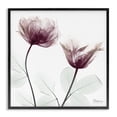 thumbnail image 1 of Stupell Industries Contemporary Minimalist Translucent Flowers Black Framed Giclee Art, 12 x 12, by Albert Koetsier, 1 of 7