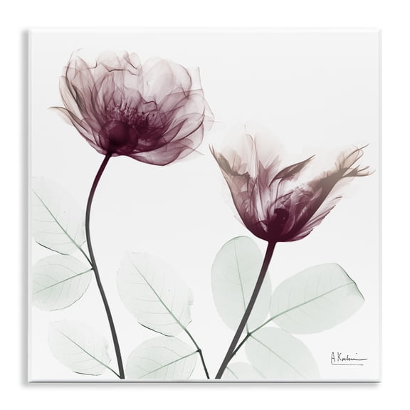 Stupell Industries Minimalist Translucent Flowers Floral Photography Unframed Art Print Wall Art, 12 x 12