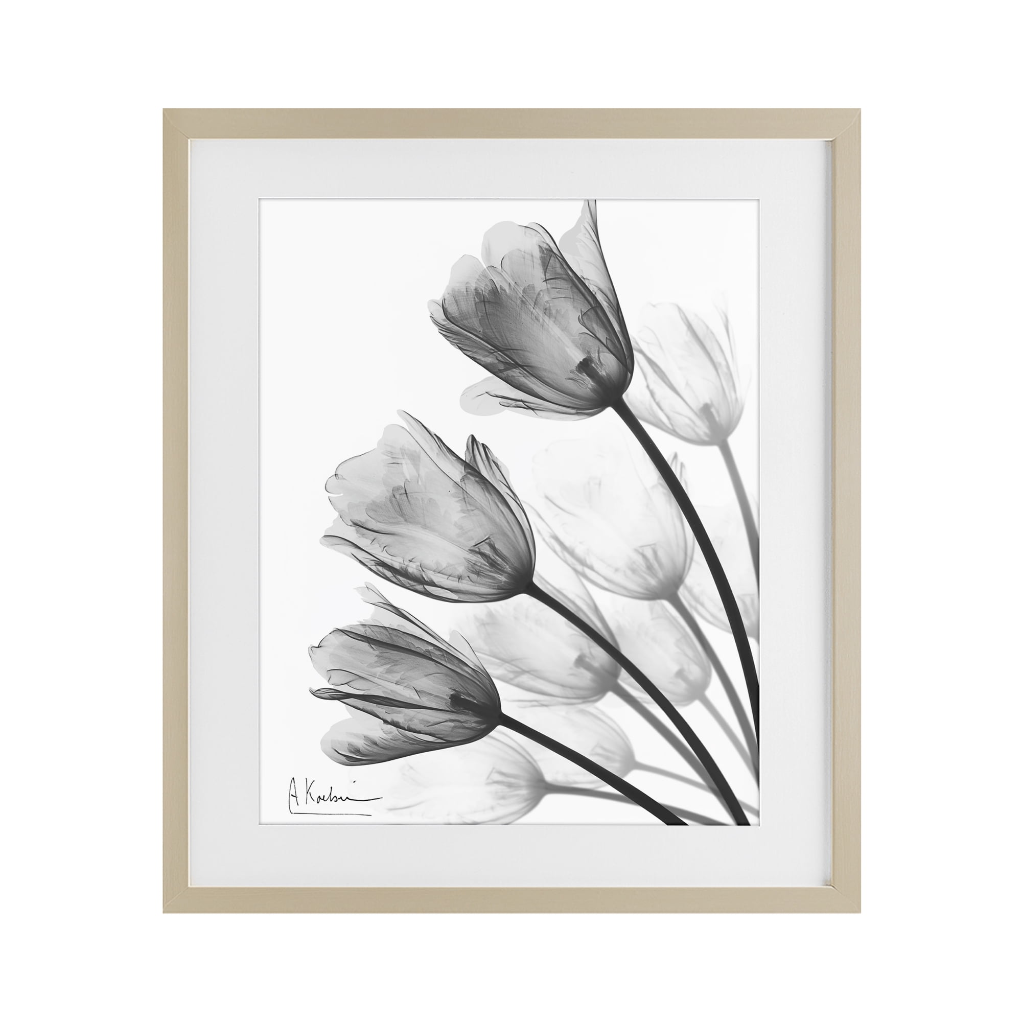 Stupell Industries Minimalist Tulip Fan Birch Framed Print Under Glass, design by Albert Koetsier
