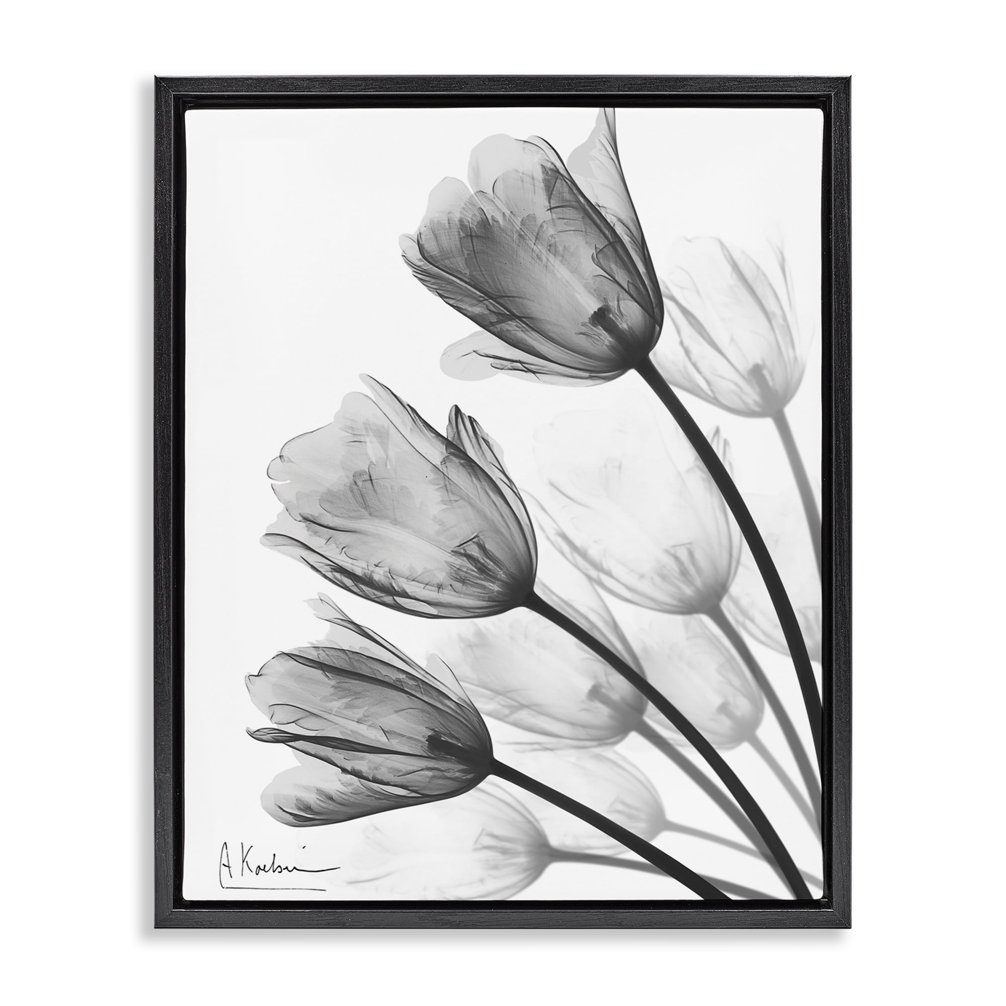 Stupell Industries Minimalist Tulip Fan Black Framed Floater Canvas Wall Art, design by Albert Koetsier