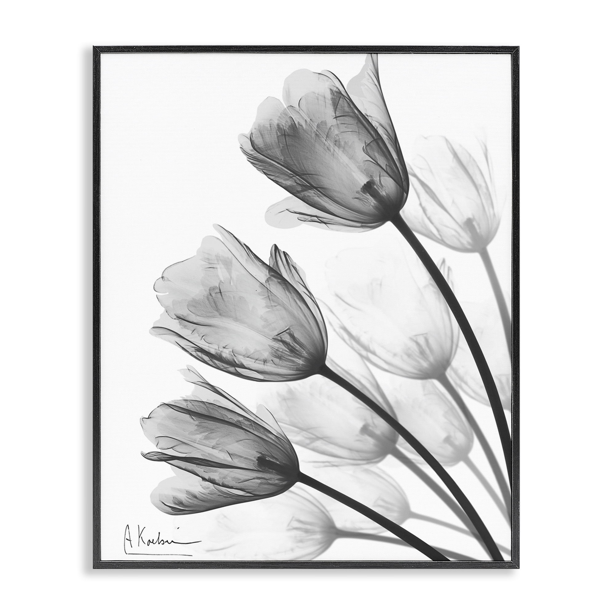 Stupell Industries Minimalist Tulip Fan Black Framed Giclee Art, design by Albert Koetsier