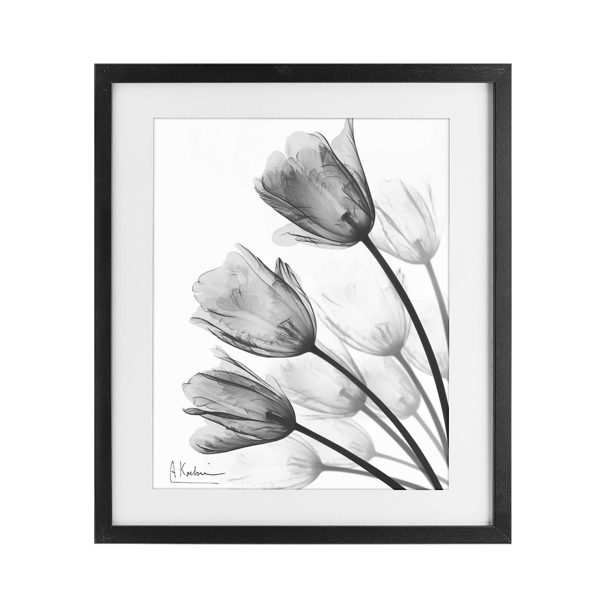 Stupell Industries Minimalist Tulip Fan Black Framed Print Under Glass, design by Albert Koetsier