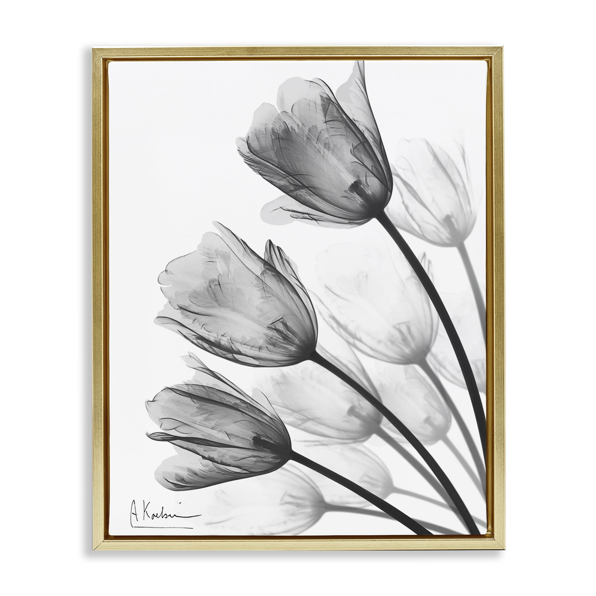 Stupell Industries Minimalist Tulip Fan Gold Framed Floater Canvas Wall Art, design by Albert Koetsier