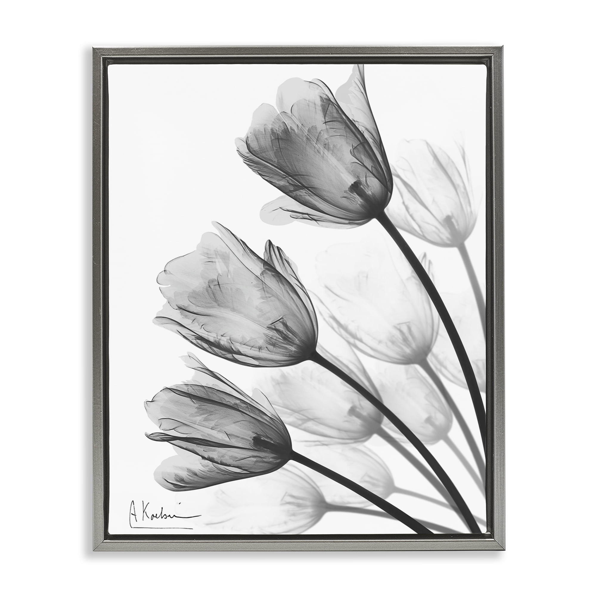 Stupell Industries Minimalist Tulip Fan Gray Framed Floater Canvas Wall Art, design by Albert Koetsier