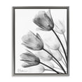thumbnail image 1 of Stupell Industries Contemporary Minimalist Tulip Fan Gray Floating Frame Canvas Art, 25 x 31, by Albert Koetsier, 1 of 8