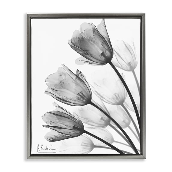 Stupell Industries Contemporary Minimalist Tulip Fan Gray Floating Frame Canvas Art, 25 x 31, by Albert Koetsier
