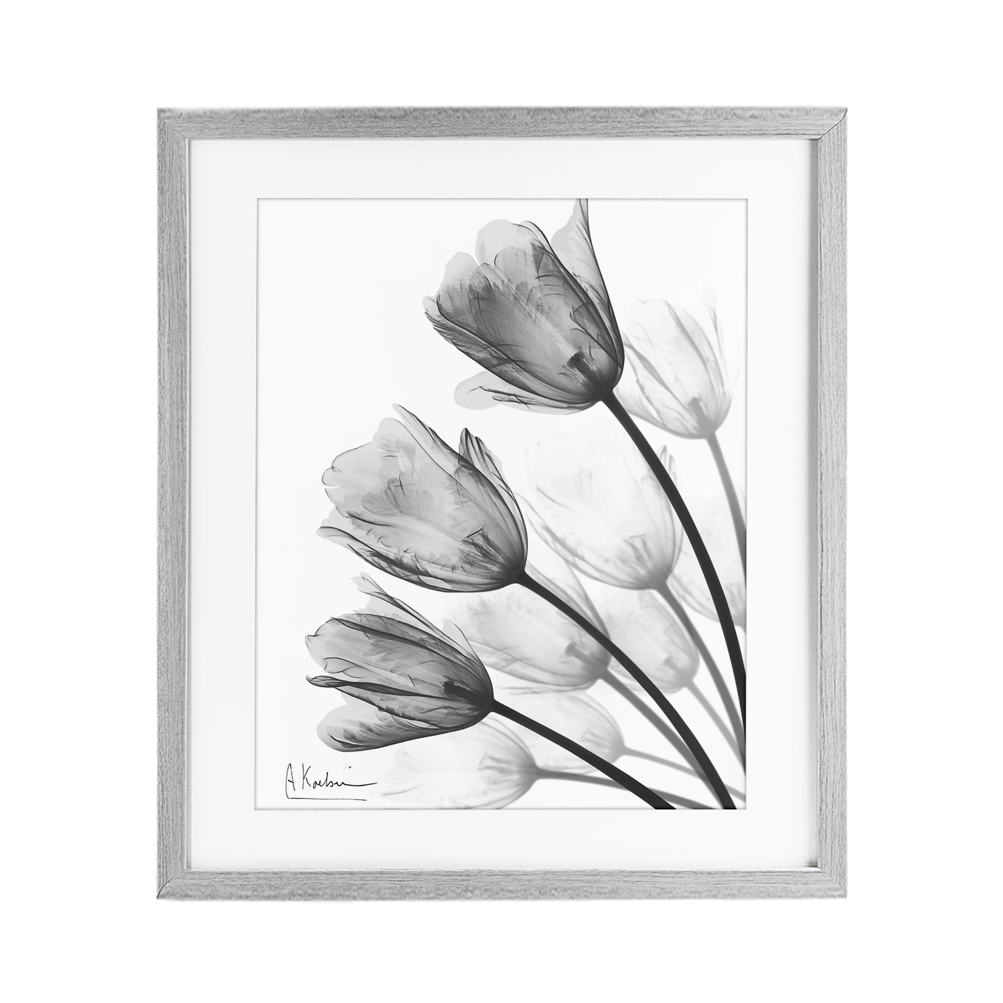 Stupell Industries Minimalist Tulip Fan Gray Framed Print Under Glass, design by Albert Koetsier